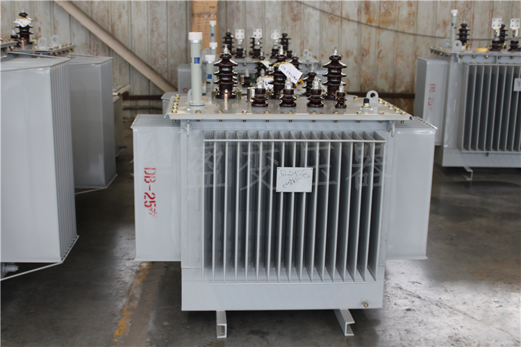 白山S20-800kVA/10kV/0.4kV变压器